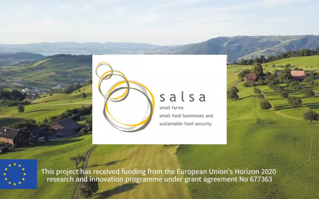 SALSA project highlighted on the European Commission website
