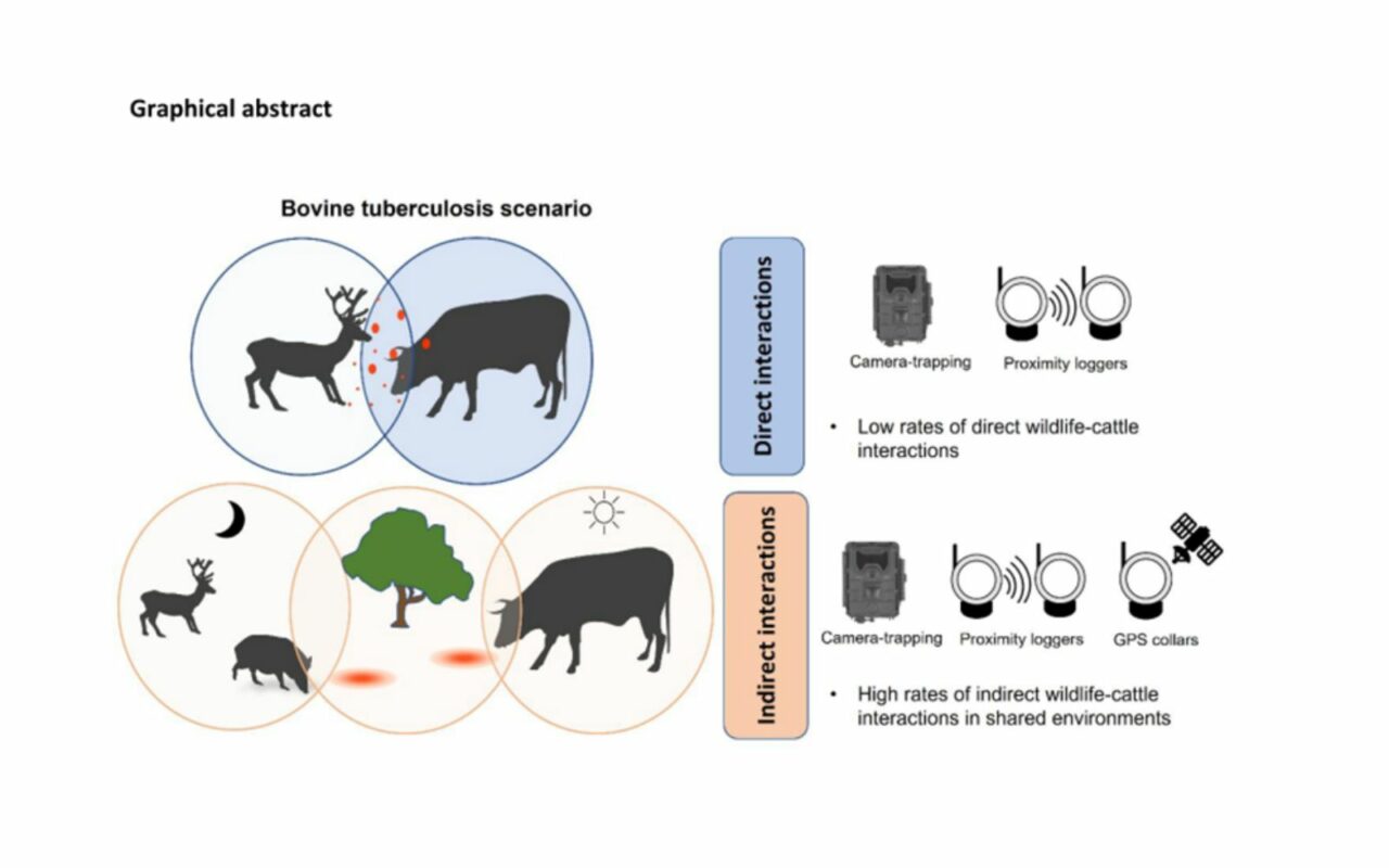 A Study By MED-UÉvora Researchers Reveals New Data On The Importance Of ...