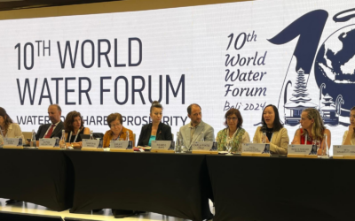 Exemplos de trabalhos desenvolvidos por investigadores do MED apresentados no 10th World Water Forum