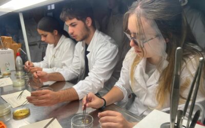 Ciência Viva no Laboratório | Laboratórios de Biologia Molecular & Melhoramento e Biotecnologia Vegetal