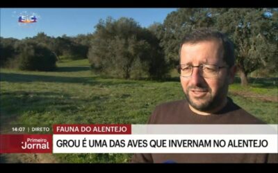 MED researcher takes part in SIC news report ‘Fauna do Alentejo’