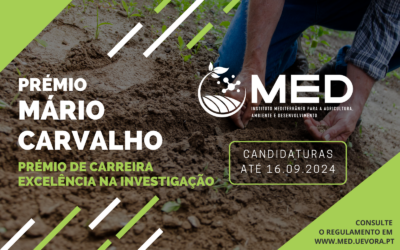 Prémios MED 2024 | Prémio Mário Carvalho