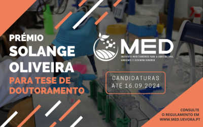 Prémios MED 2024 | Prémio Solange Oliveira