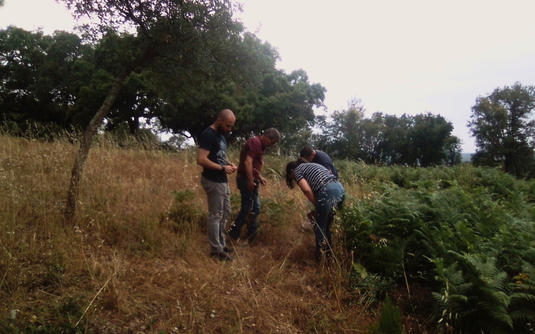 Projeto transfronteiriço CI Montado-Dehesa avança com novas ações para melhorar a sustentabilidade do Montado na ZEC Monfurado