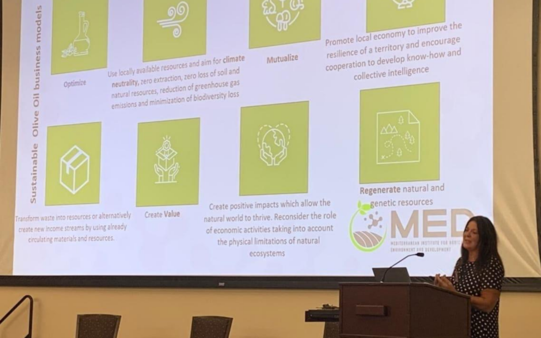 MED’s participation in the Olive Sustainability Conference 2024 in California