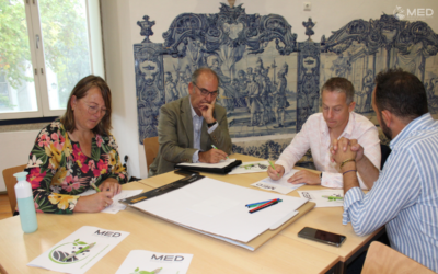 MED and TIAS School for Business and Society Collaborate to Enhance Knowledge Transfer