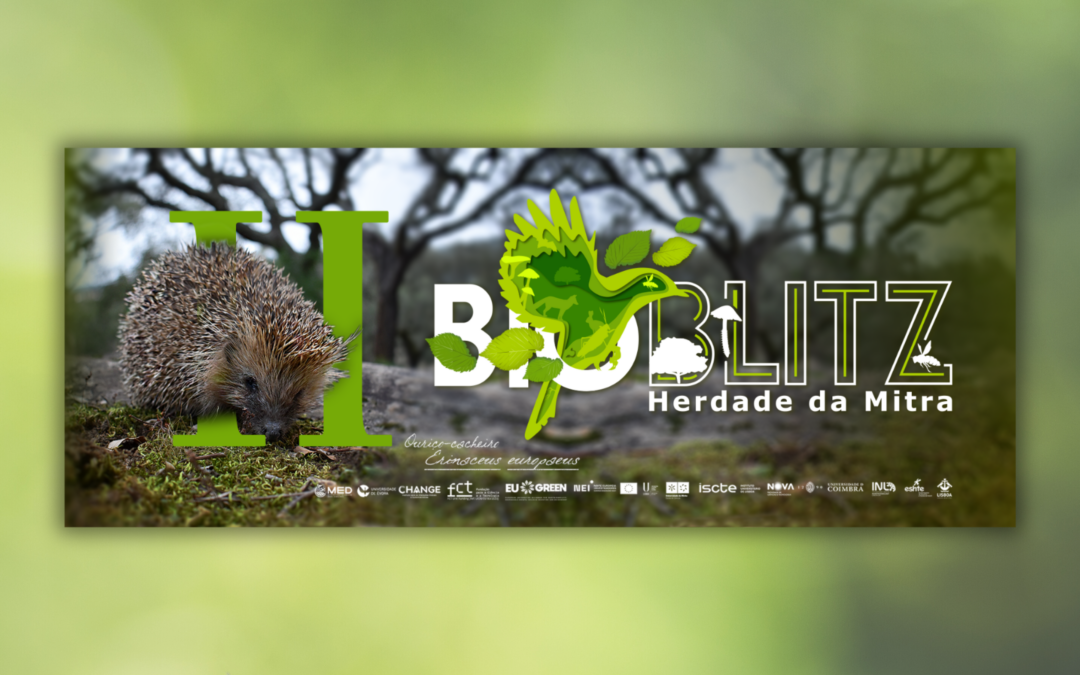 8&9 NOV | II BioBlitz da Herdade da Mitra