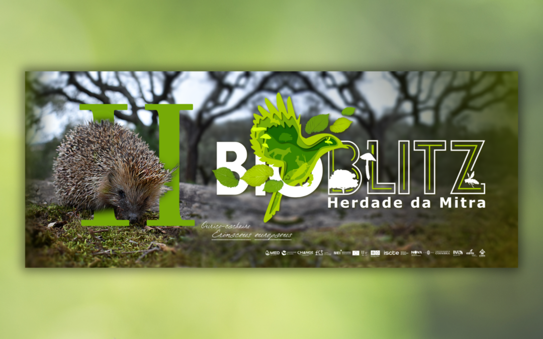 8&9 NOV | II BioBlitz da Herdade da Mitra