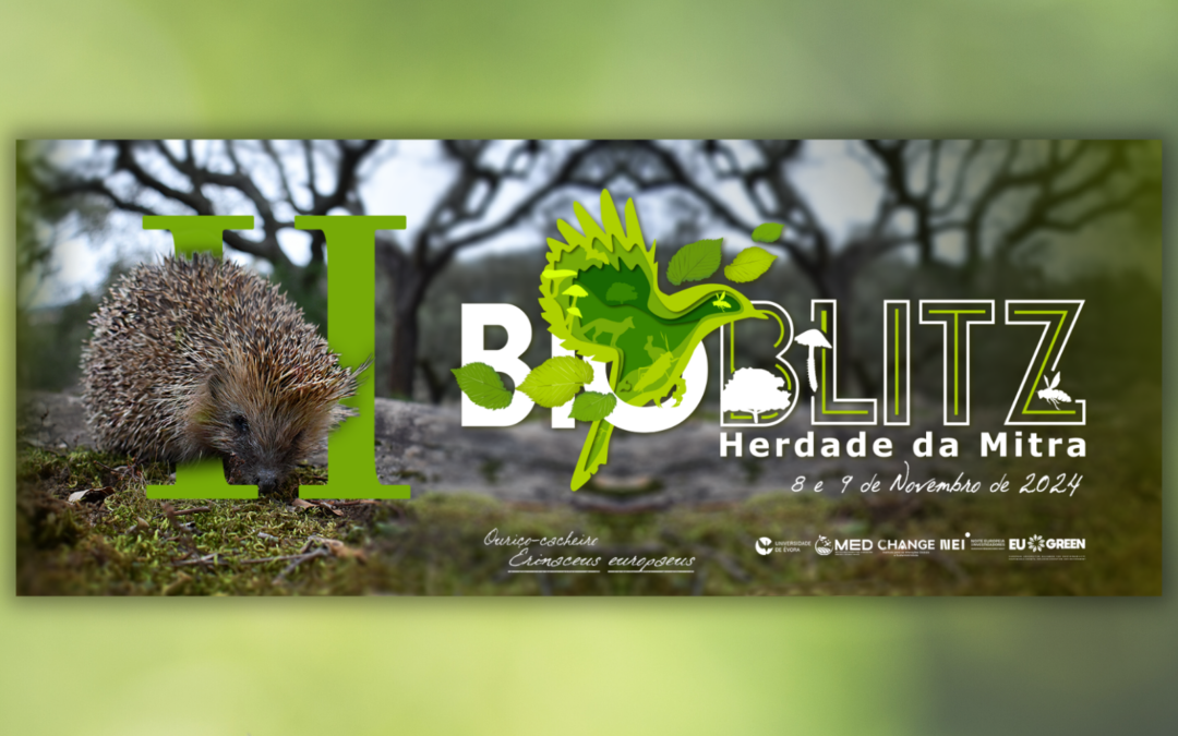 8&9 NOV | II BioBlitz da Herdade da Mitra