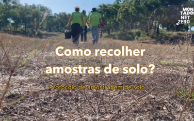 Montados Net-Zero Project releases video on soil sampling in Montado