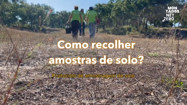 Montados Net-Zero Project releases video on soil sampling in Montado