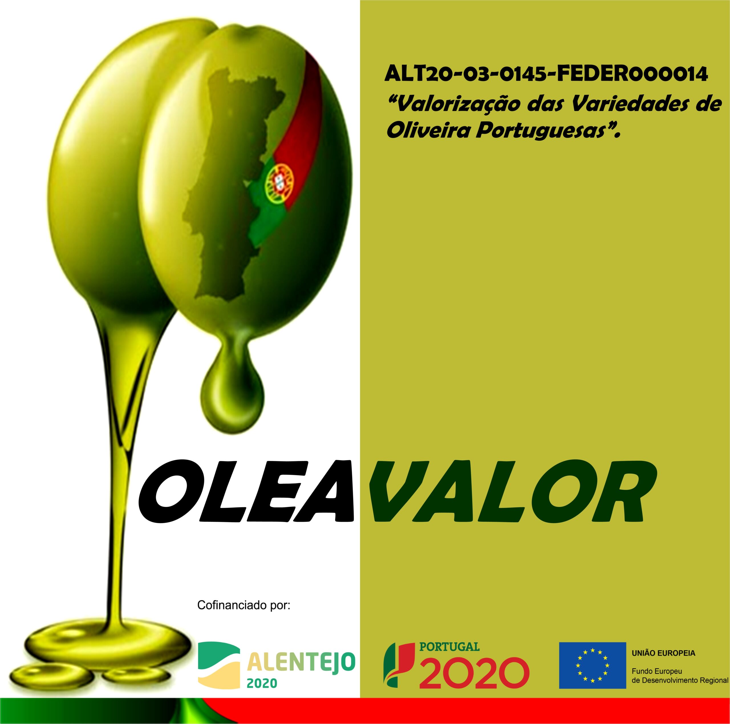 OLEAVALOR - Valorização das Variedades de Oliveira Portuguesas 