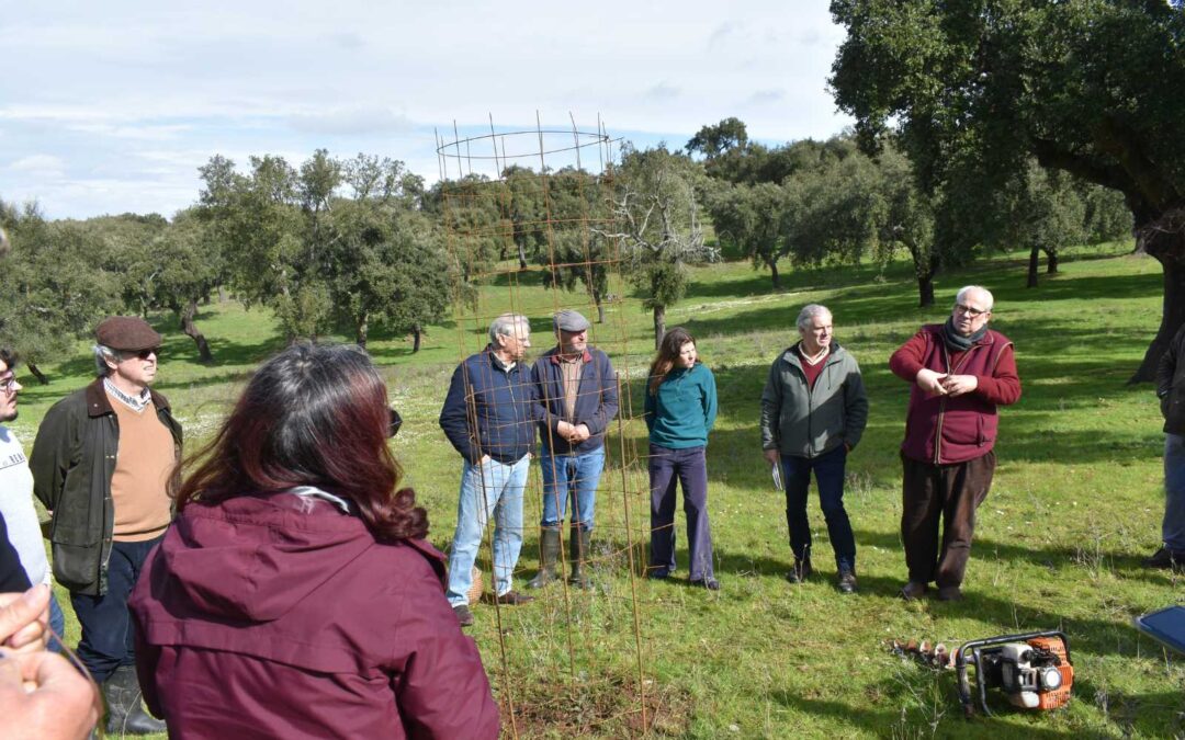 CI Montado Dehesa Project – Open Day 2025 with Celeste Santos e Silva – Cork Oak Planting and Protection